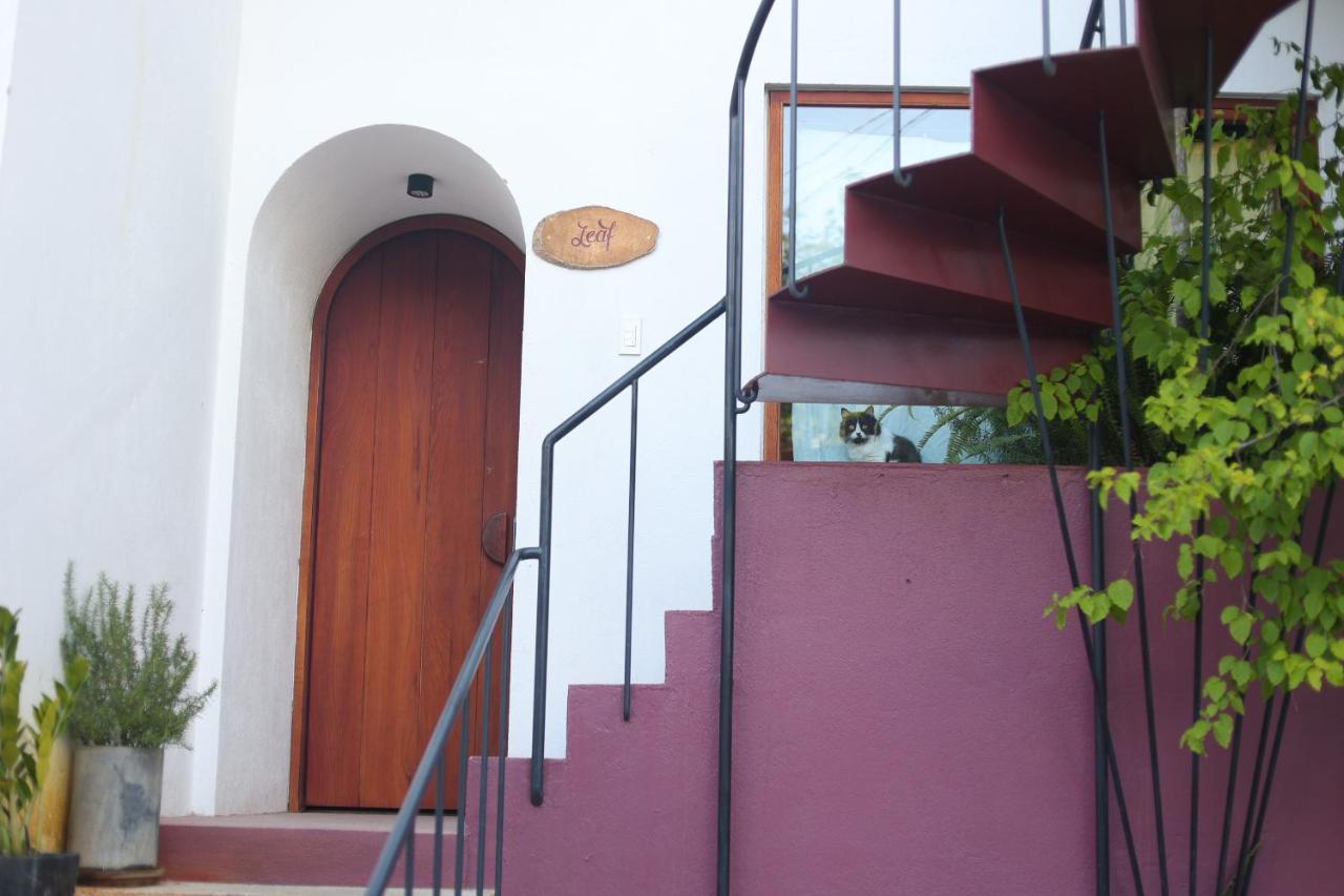 Cherry Suites Dalat Eksteriør bilde